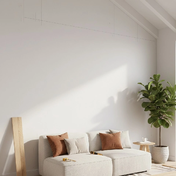 Plain white color wall without wood wall paneling