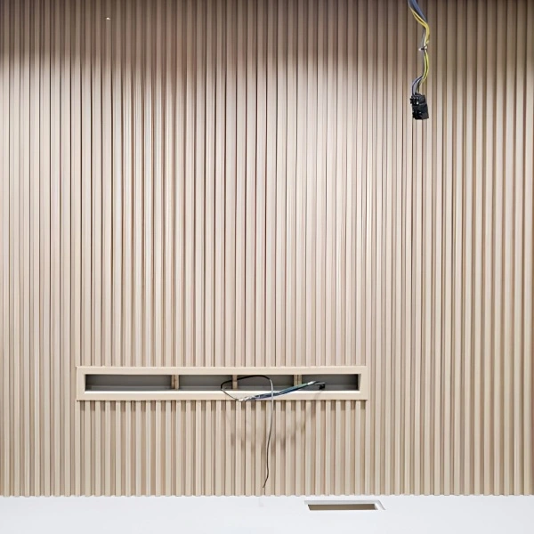 wall featuring light-colored vertical wood slat acoustic panels